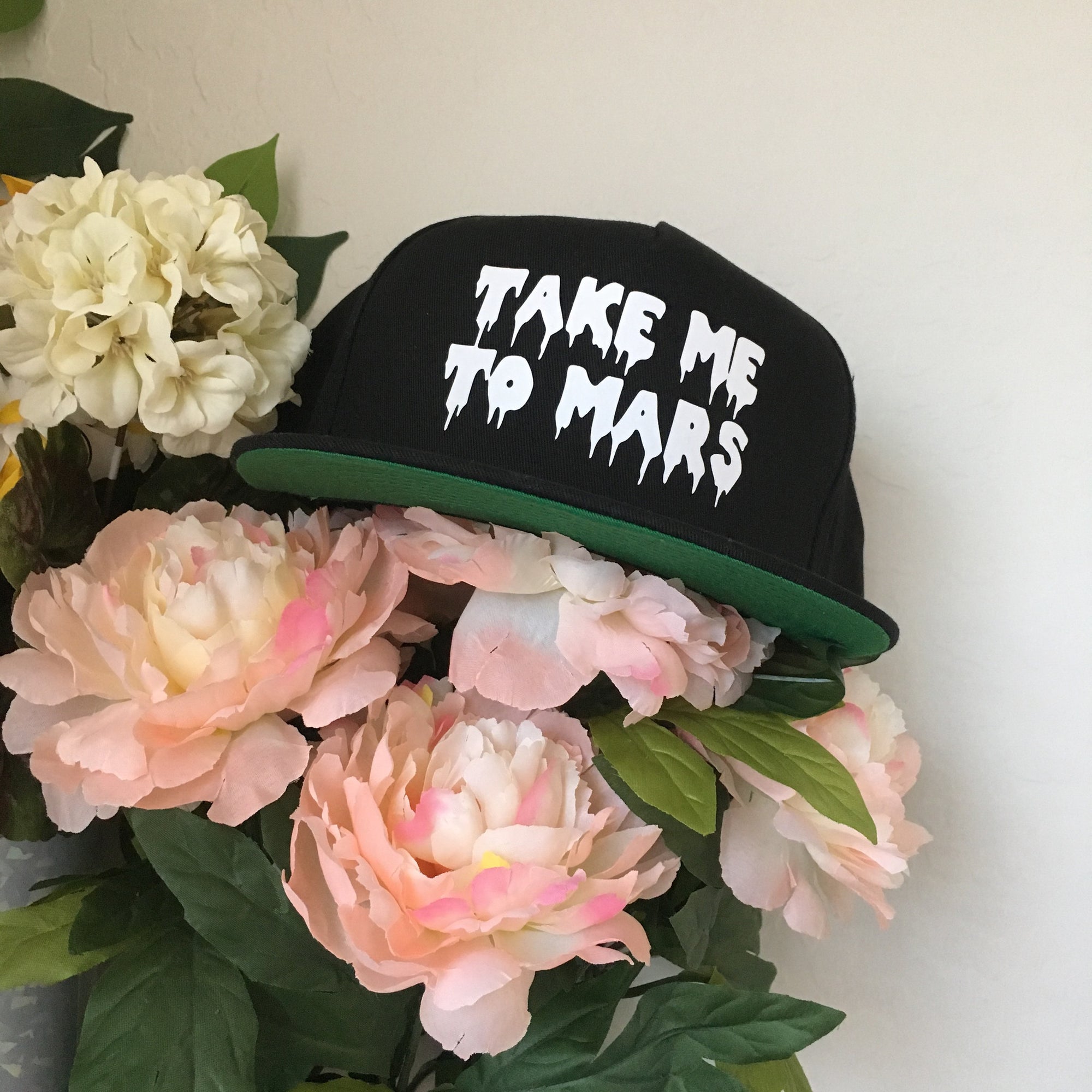 Take Me To Mars Snapback