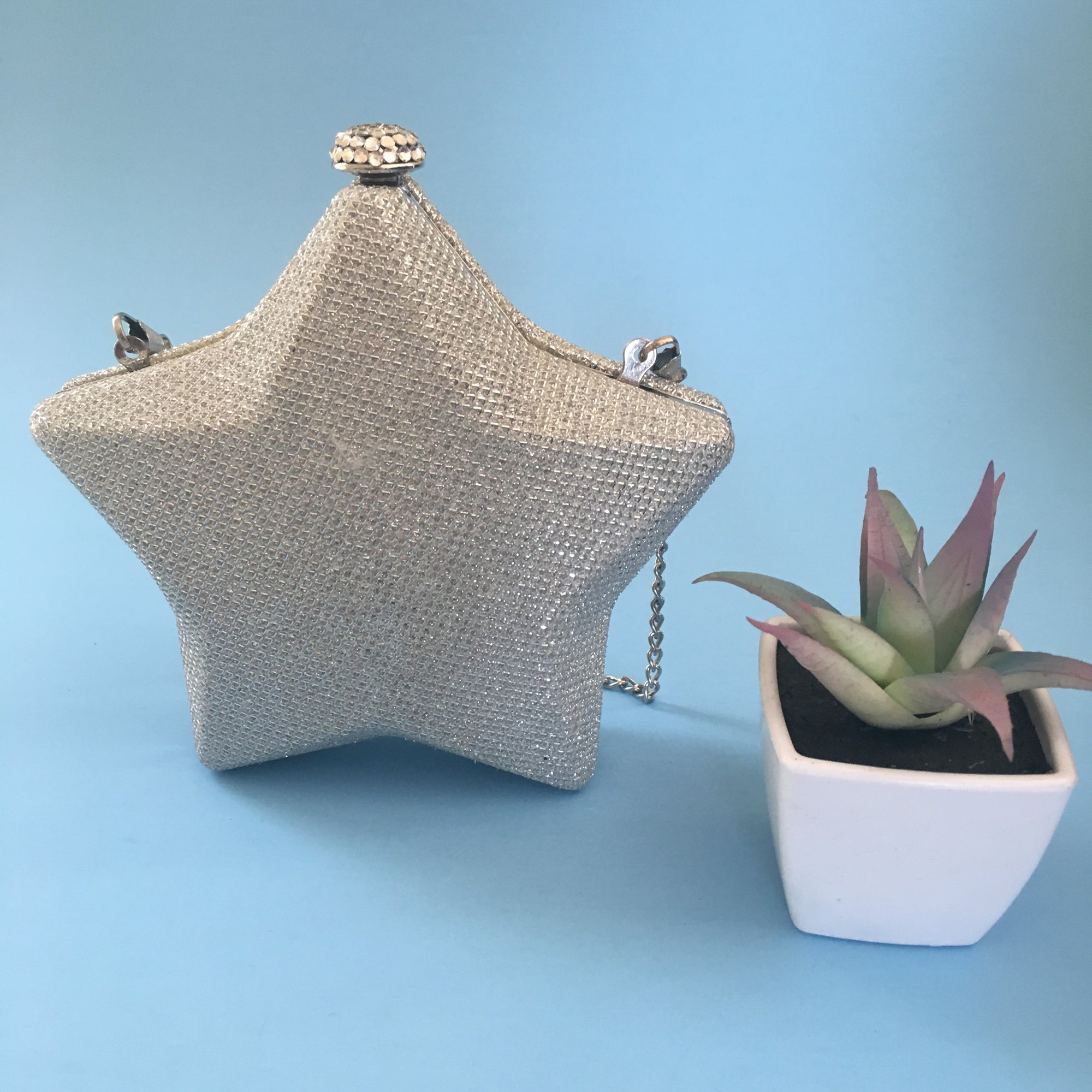 Shining Star Crossbody Clutch Purse