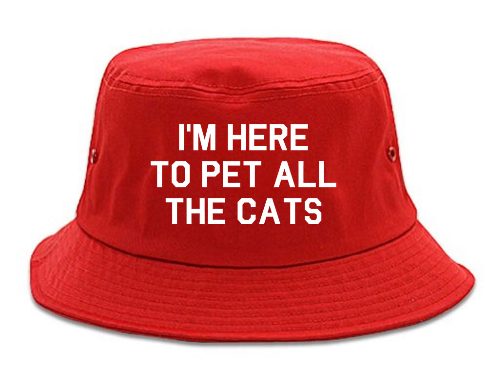Im Here To Pet All The Cats Red Bucket Hat
