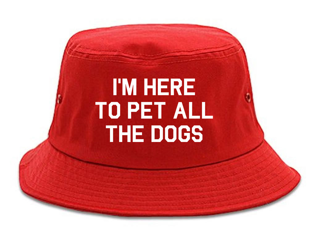Im Here To Pet All The Dogs Red Bucket Hat