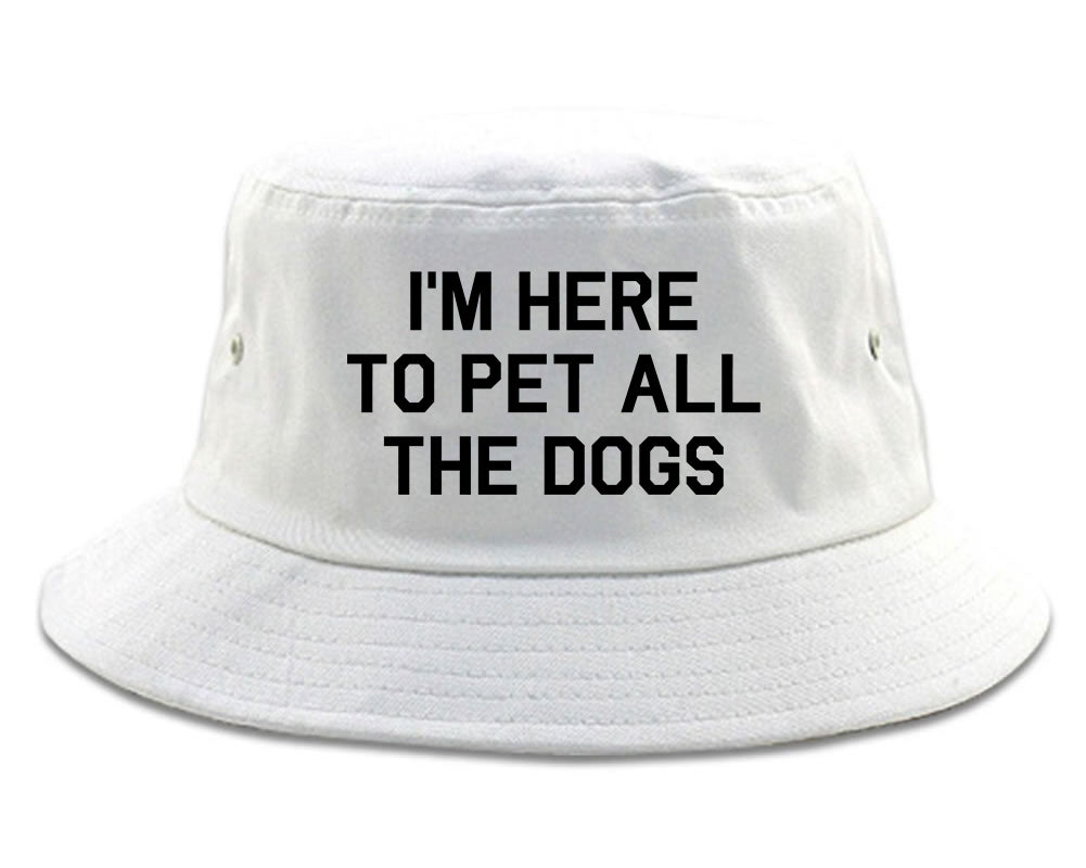 Im Here To Pet All The Dogs White Bucket Hat